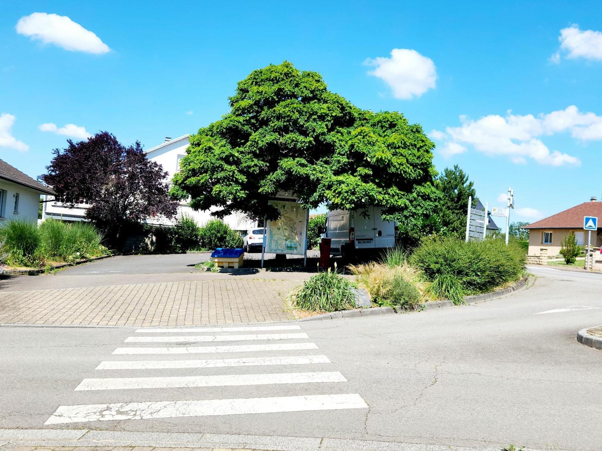 Apartament Le Jardin D'Eden Ay-sur-Moselle Zewnętrze zdjęcie